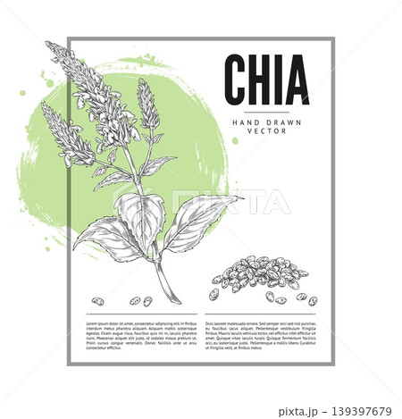 A monochrome poster featuring a branch, flowers, leaves, and chia seeds, hand-drawn A monochrome poster featuring a branch, flowers, leaves, and chia seeds, hand-drawn 139397679