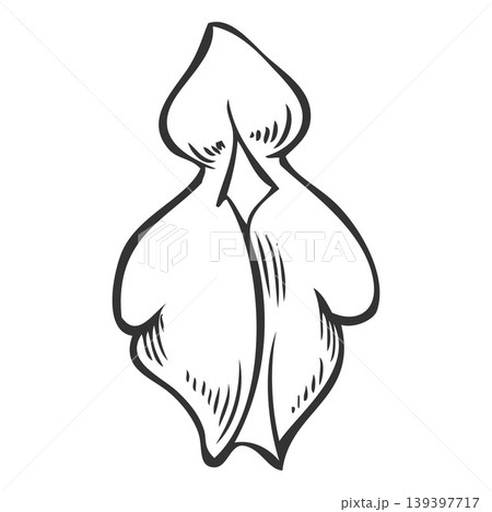 Chia plant flower ink sketch, vector engraved hand drawn Salvia hispanica, blossom plant, seasoning herb Chia plant flower ink sketch, vector engraved hand drawn Salvia hispanica, blossom plant, seasoning herb 139397717