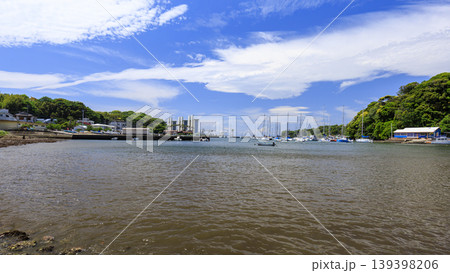 小網代湾の初夏 139398206