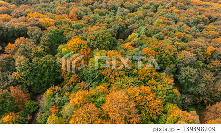 Aerial view of a vibrant forest canopy displaying autumn colors in October Aerial view of a vibrant forest canopy displaying autumn colors in October 139398209