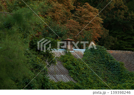 A weathered roof with a chimney surrounded by lush greenery and trees with autumn foliage in the background A weathered roof with a chimney surrounded by lush greenery and trees with autumn foliage in the background 139398246