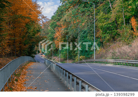 Scenic autumn road winding through colorful forest with fallen leaves on the path 139398299