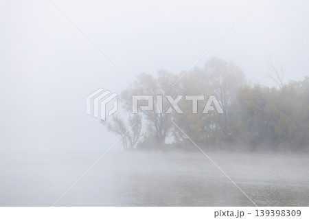 Misty autumn trees silhouette along the water's edge in a serene park setting Misty autumn trees silhouette along the water's edge in a serene park setting 139398309