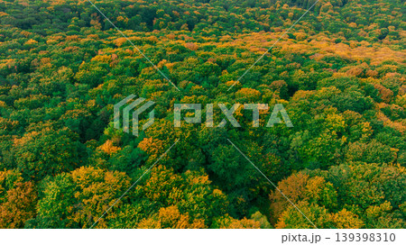 Aerial view of a lush forest canopy displaying vibrant autumn colors and green foliage 139398310