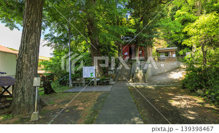 白髭神社の初夏 白髭神社の初夏 139398467