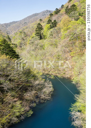 奥四万湖の新緑　群馬県中之条町 139398756