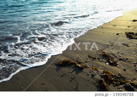 Where the land meets the sea, small waves reaching the shore showing sand, sea-weed, bubbles of foam on the tide line Where the land meets the sea, small waves reaching the shore showing sand, sea-weed, bubbles of foam on the tide line 139398788
