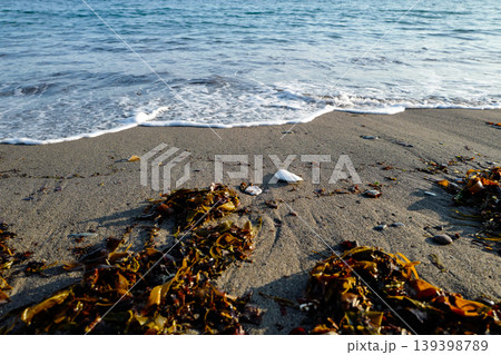 Where the land meets the sea, small waves reaching the shore showing sand, sea-weed, bubbles of foam on the tide line Where the land meets the sea, small waves reaching the shore showing sand, sea-weed, bubbles of foam on the tide line 139398789