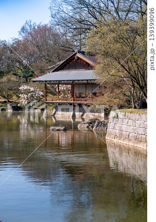 Springtime in Japanese garden featuring reflective pond and classic wooden veranda structure Springtime in Japanese garden featuring reflective pond and classic wooden veranda structure 139399096