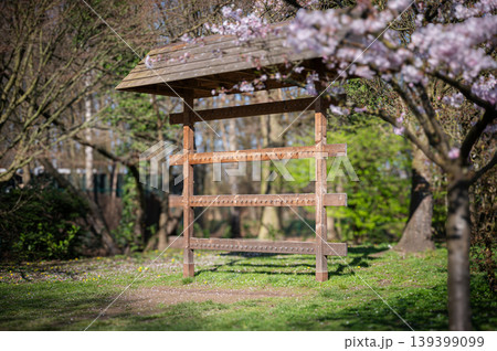 Cherry blossom gate. Japanese style gate surrounded by blooming cherry trees and mossy trail Cherry blossom gate. Japanese style gate surrounded by blooming cherry trees and mossy trail 139399099
