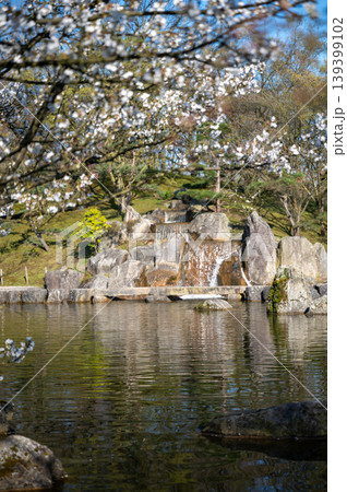Spring reflections in peaceful surroundings. Serene Japanese garden with blooming branches reflected Spring reflections in peaceful surroundings. Serene Japanese garden with blooming branches reflected 139399102