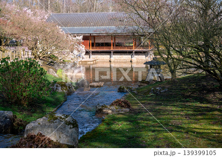 Traditional water garden landscape. Springtime Japanese garden with pavilion and stream Traditional water garden landscape. Springtime Japanese garden with pavilion and stream 139399105