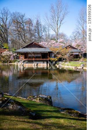 Reflective pavilion beneath cherry trees. Serene garden with pond and flowering canopy Reflective pavilion beneath cherry trees. Serene garden with pond and flowering canopy 139399106