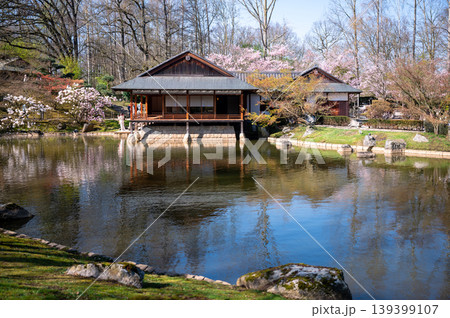 Timeless traditional teahouse reflected in serene pond within peaceful garden setting 139399107