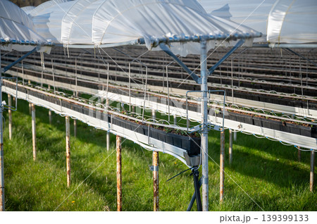 Greenhouse with metal framework and plastic cover showcasing irrigation and structural elements Greenhouse with metal framework and plastic cover showcasing irrigation and structural elements 139399133