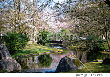 Japanese garden with peaceful features. Tranquil Japanese garden showcasing natural beauty Japanese garden with peaceful features. Tranquil Japanese garden showcasing natural beauty 139399209