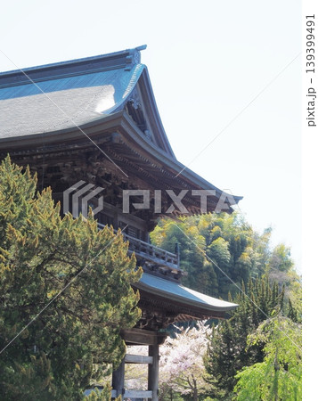 神奈川県 建長寺 三門 4月 神奈川県 建長寺 三門 4月 139399491