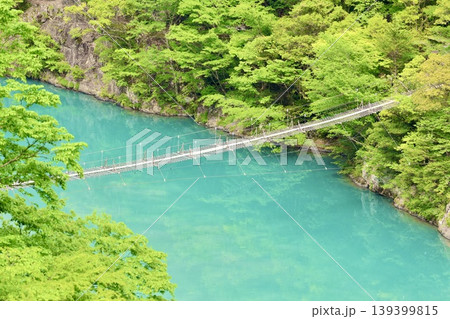 エメラルドグリーンの湖に架かる吊り橋 エメラルドグリーンの湖に架かる吊り橋 139399815