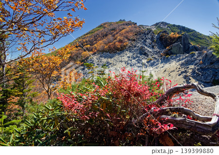 紅葉の南アルプス・鳳凰三山・観音岳 139399880