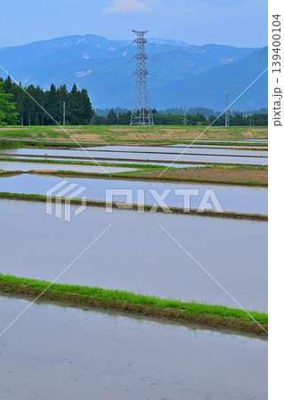 当間高原の麓の棚田　新緑　田植え時　新潟県十日町市　　　 139400104