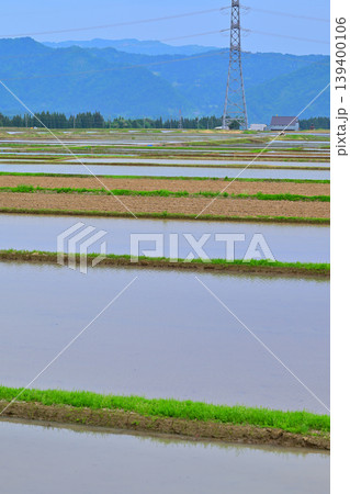 当間高原の麓の棚田 新緑 田植え時 新潟県十日町市 当間高原の麓の棚田 新緑 田植え時 新潟県十日町市 139400106