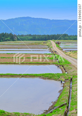当間高原の麓の棚田 新緑 田植え時 新潟県十日町市 当間高原の麓の棚田 新緑 田植え時 新潟県十日町市 139400107