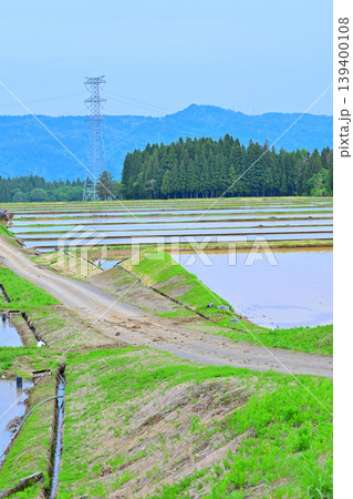当間高原の麓の棚田 新緑の田舎風景 新潟県十日町市 当間高原の麓の棚田 新緑の田舎風景 新潟県十日町市 139400108