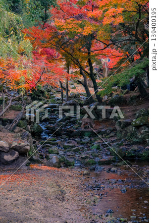 Autumn River View at Ukigumo Rest Area Nov 27 2025 Autumn River View at Ukigumo Rest Area Nov 27 2025 139400195