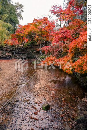 Autumn River View at Ukigumo Rest Area Nov 27 2025 139400201
