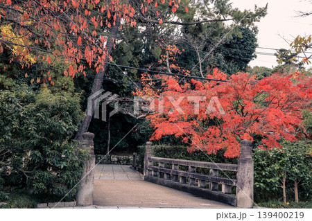 Scenic Countryside Path in Nishinokyo Kyoto Japan Nov 27 2025 Scenic Countryside Path in Nishinokyo Kyoto Japan Nov 27 2025 139400219