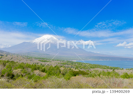 山中湖と富士山を望むパノラマ風景 青空と広がる春の自然 139400269