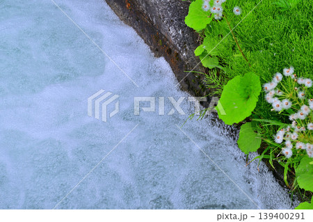 当間高原の麓　雪解けの水　田植え時　新潟県十日町市　　　 139400291
