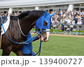パドックにて気合いが入った表情の競走馬 139400727