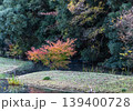 水辺で彩る紅葉 139400728