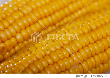 Closeup of boiled maize cobs Closeup of boiled maize cobs 139400789