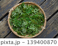 摘んだ山椒の葉 139400870