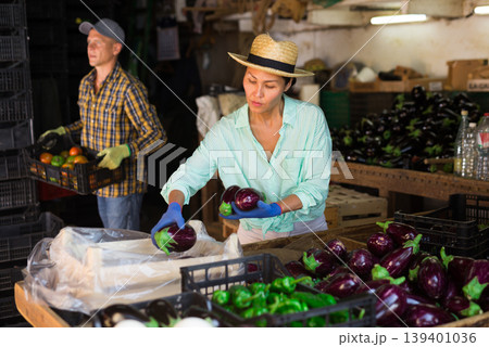 Asian woman farmer sorts the collected eggplants in the warehouse, putting them in a crate Asian woman farmer sorts the collected eggplants in the warehouse, putting them in a crate 139401036