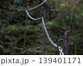 山の鎖場 139401171