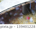水に沈む紅葉 139401228