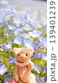 ネモフィラの花が咲く春の庭にいる 139401239