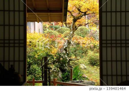 三寳寺の紅葉 三寳寺の紅葉 139401464