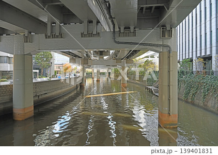 東京一ツ橋の日本橋川 首都高速道路の高架下に広がる都会の静寂と水辺の風景 139401831