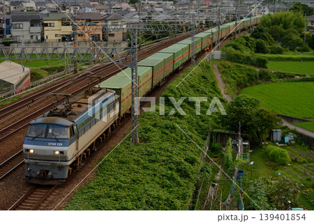 東海道線を走るEF66129コンテナ貨物列車 139401854
