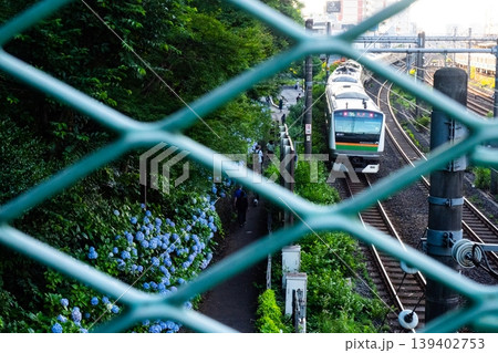 フェンス越しの列車と紫陽花 139402753