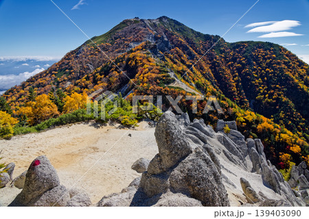 南アルプス・鳳凰三山・赤抜沢ノ頭から見る紅葉の観音岳 139403090