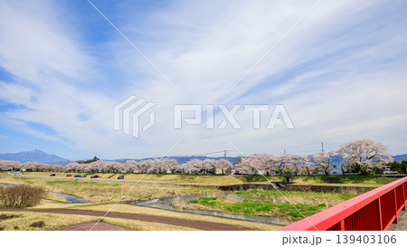 宮川の千本桜と磐梯山 福島県 宮川の千本桜と磐梯山 福島県 139403106