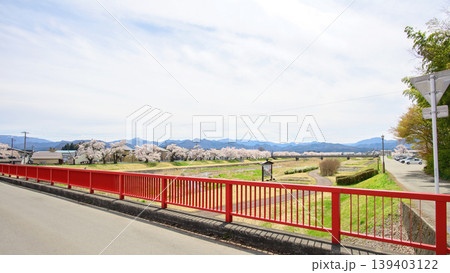 宮川の千本桜　会津美里町　福島県 139403122
