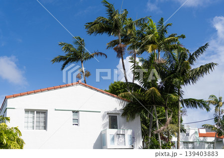 Building with palm tree. Architectural district Art Deco. Modern building of Miami beach. Ocean drive. Miami Beach in Ocean Drive Florida. Art Deco building architecture. Architectural building 139403883