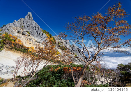 秋の南アルプス・鳳凰三山・地蔵岳のオベリスク 秋の南アルプス・鳳凰三山・地蔵岳のオベリスク 139404146