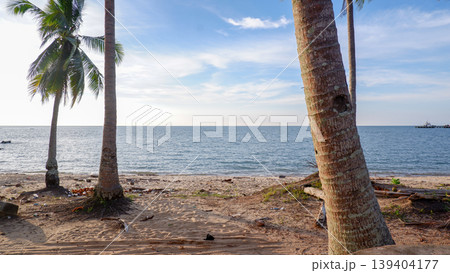 Tall Coconut Palm Trees on Tropical Sandy Beach Shore 139404177